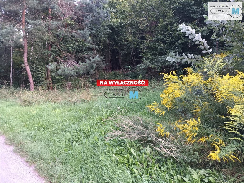 Działka inna na sprzedaż Chęciny, Lelusin, Wojkowiec  9 900m2 Foto 1