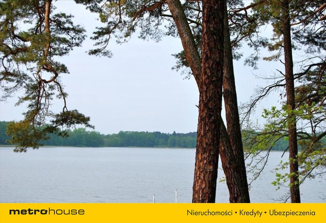 Działka siedliskowa na sprzedaż Pąchy  14 200m2 Foto 5