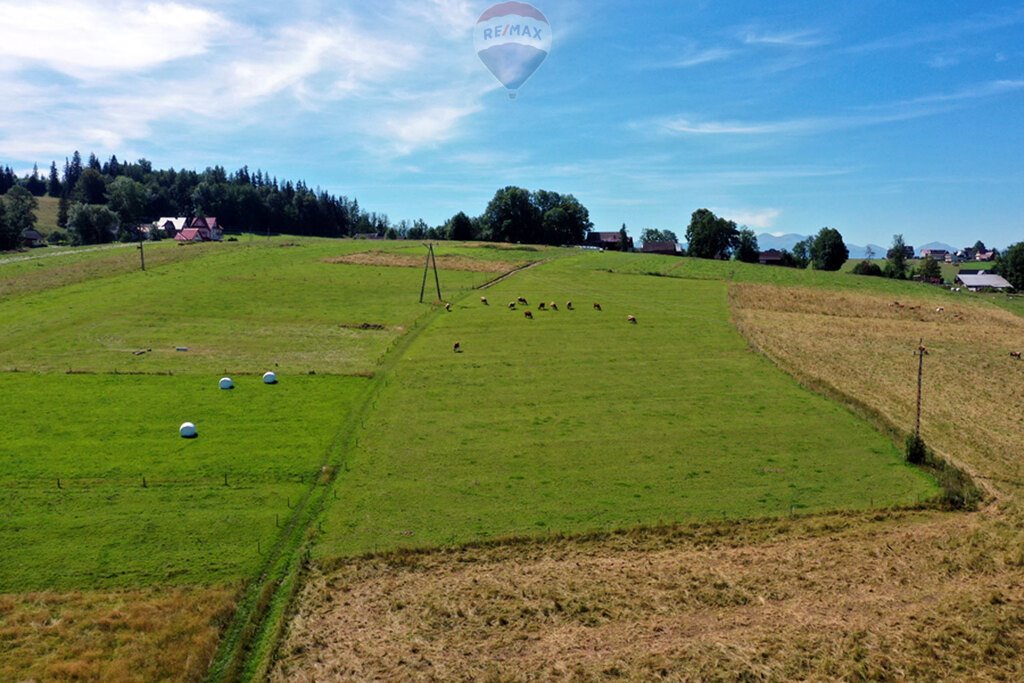 Działka budowlana na sprzedaż Maruszyna  9 650m2 Foto 3