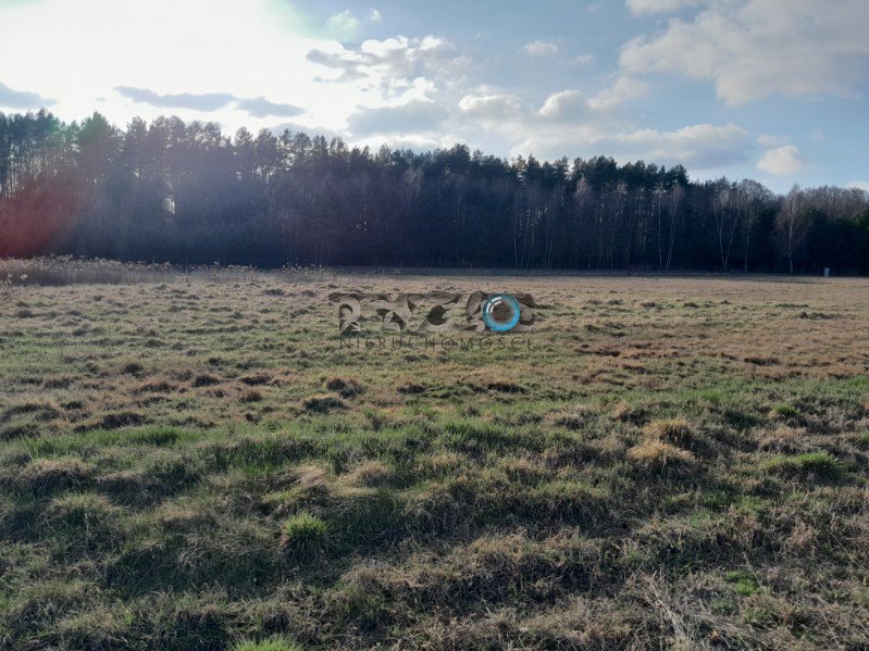 Działka budowlana na sprzedaż Nowiny, Nowiny, Nowiny  3 000m2 Foto 7