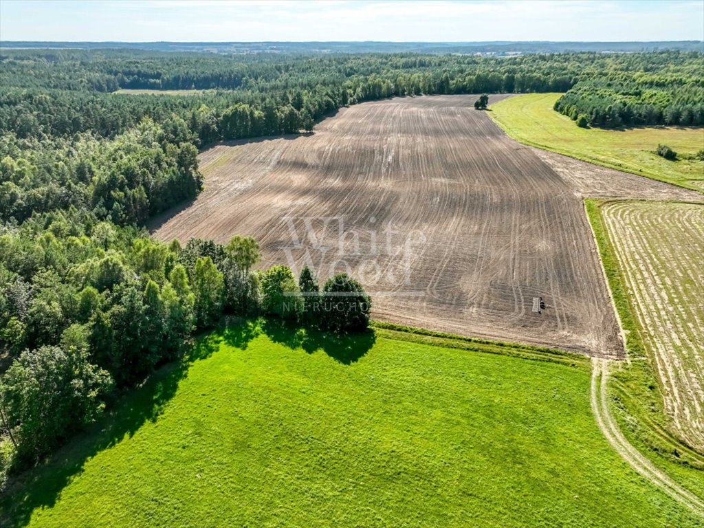 Działka rolna na sprzedaż Kętrzyno  453 100m2 Foto 6