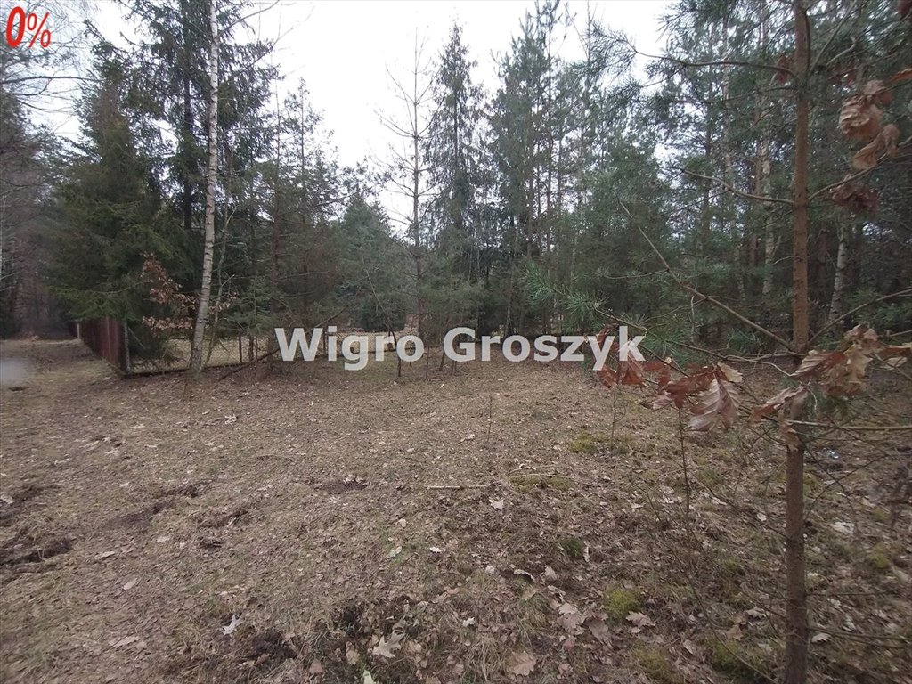 Działka inna na sprzedaż Tłumy  2 900m2 Foto 4