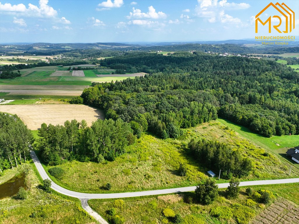 Działka inna na sprzedaż Szerzyny  10 100m2 Foto 2