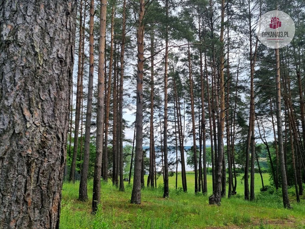 Działka nad jeziorem z domkami, widok i media Narty, ul. Leśna  8 887m2 Foto 1