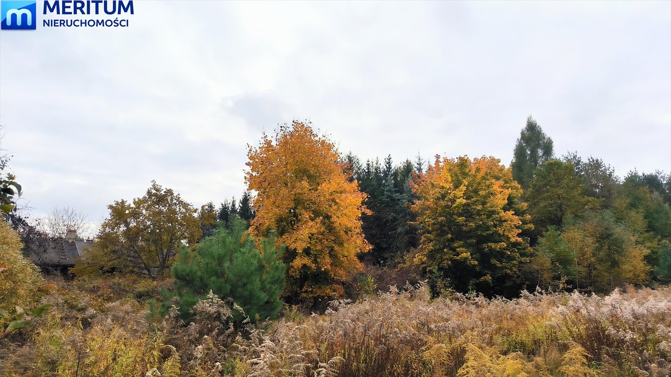 Działka 1,18 ha z lasem, media, inwestycja lub dom Adamów-Wieś  11 880m2 Foto 1