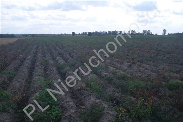 Zapraszam do zakupu działki 9,5 ha z mediami i dużym potencjałem Chlebnia  95 000m2 Foto 1