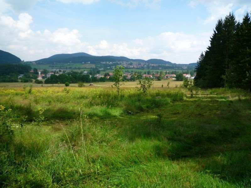 Działka budowlana 1000 m² w pięknej okolicy Boguszowa-Gorców Boguszów-Gorce, Stary Lesieniec  1 000m2 Foto 1