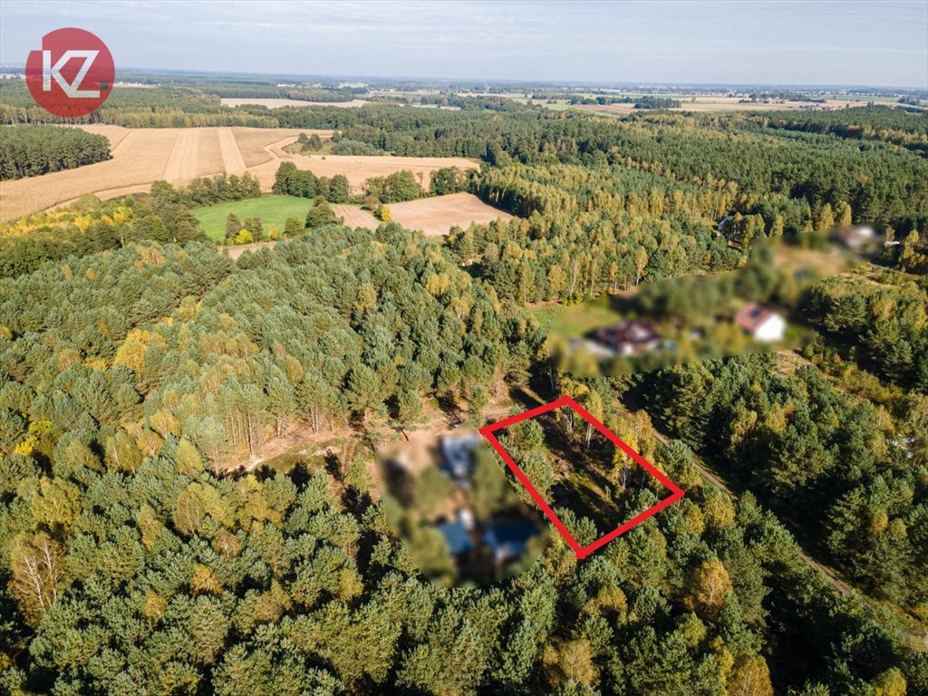 Sprzedam działkę 1308 m² w Skórce z lasem i MPZP Skórka  1 308m2 Foto 1