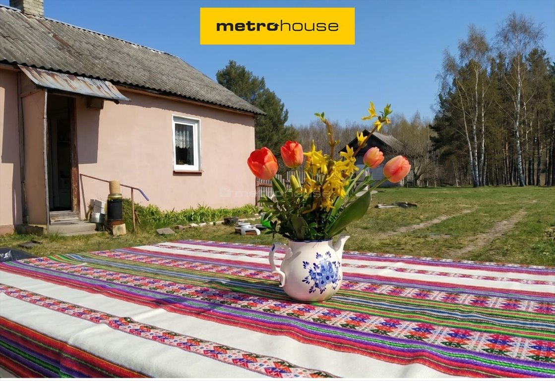 Urokliwy drewniany dom 70 m² z dużą działką w Trzcińcu Trzciniec  70m2 Foto 1