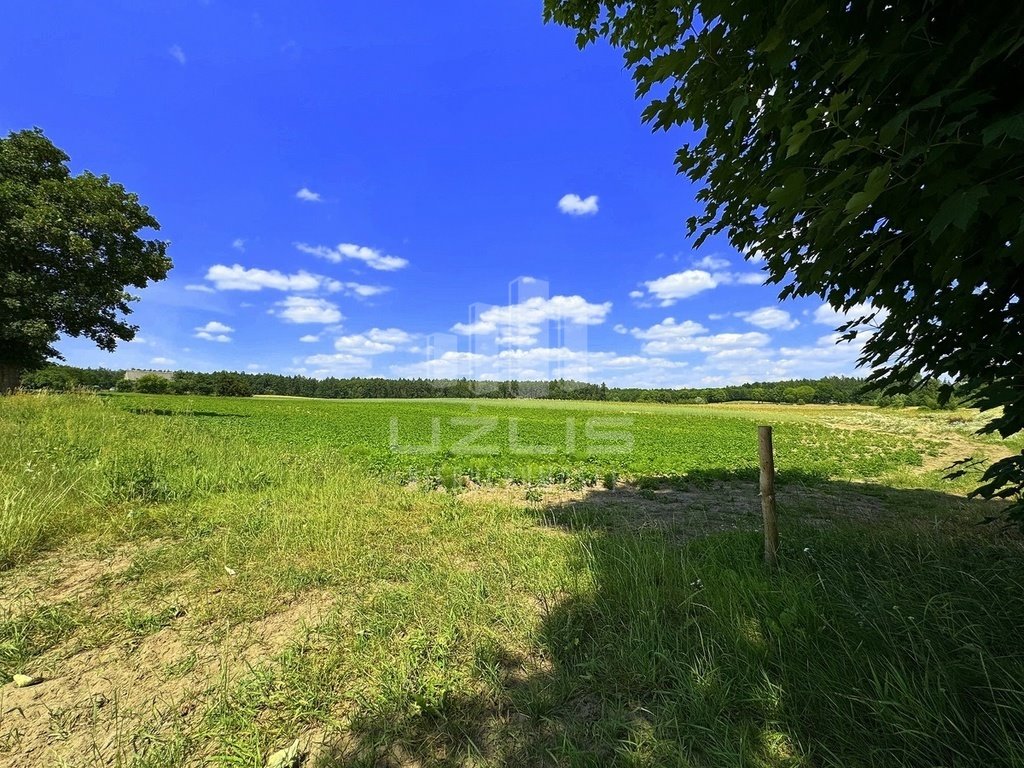 Działka budowlana na sprzedaż Pogódki  1 100m2 Foto 15