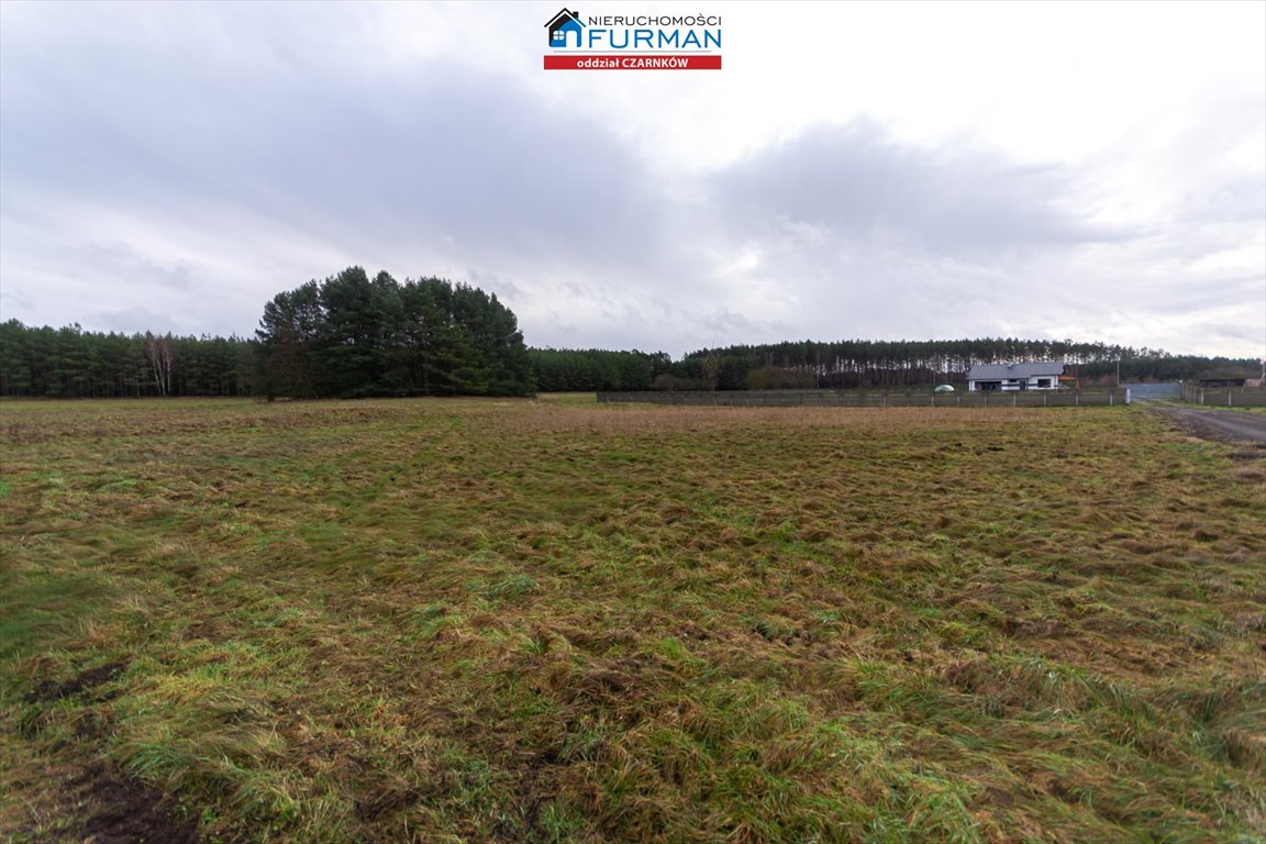 Na sprzedaż działka 3 200 m² z możliwością zabudowy w Kruteczku Kruteczek  3 200m2 Foto 1