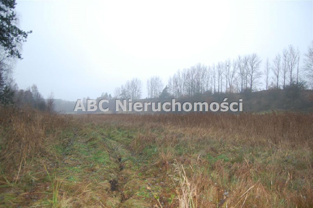 Działka leśna na sprzedaż Górzna  4 200m2 Foto 6