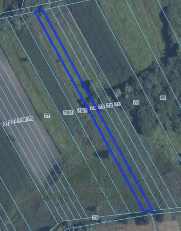 Działki rolne Łysołaje 8,5 tys. m2, spokojna okolica Łysołaje  8 525m2 Foto 1