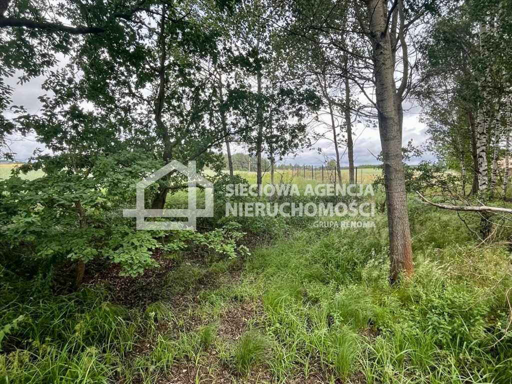 Działka budowlana na sprzedaż Kłosowo  1 200m2 Foto 3