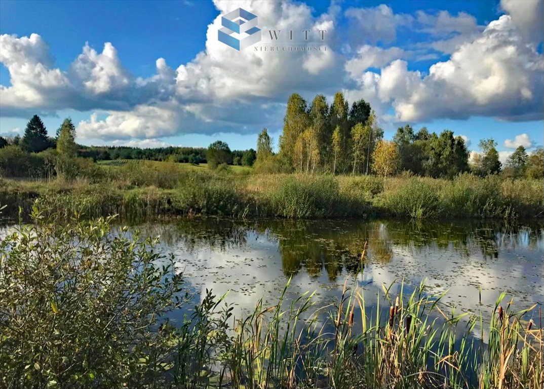 Działka budowlana na sprzedaż Kotkowo  7 965m2 Foto 12