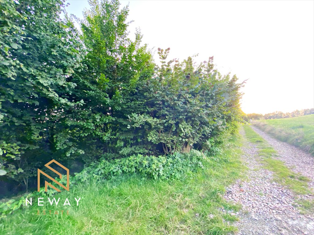 Działka budowlana 24 arów z linią energetyczną i dostępem do mediów Głogoczów  2 400m2 Foto 1