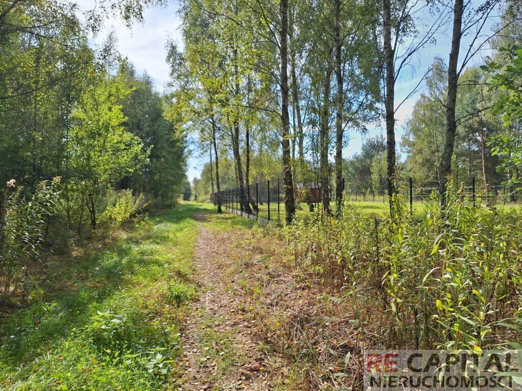 Działka rolna na sprzedaż Wojcieszyn  1 000m2 Foto 2