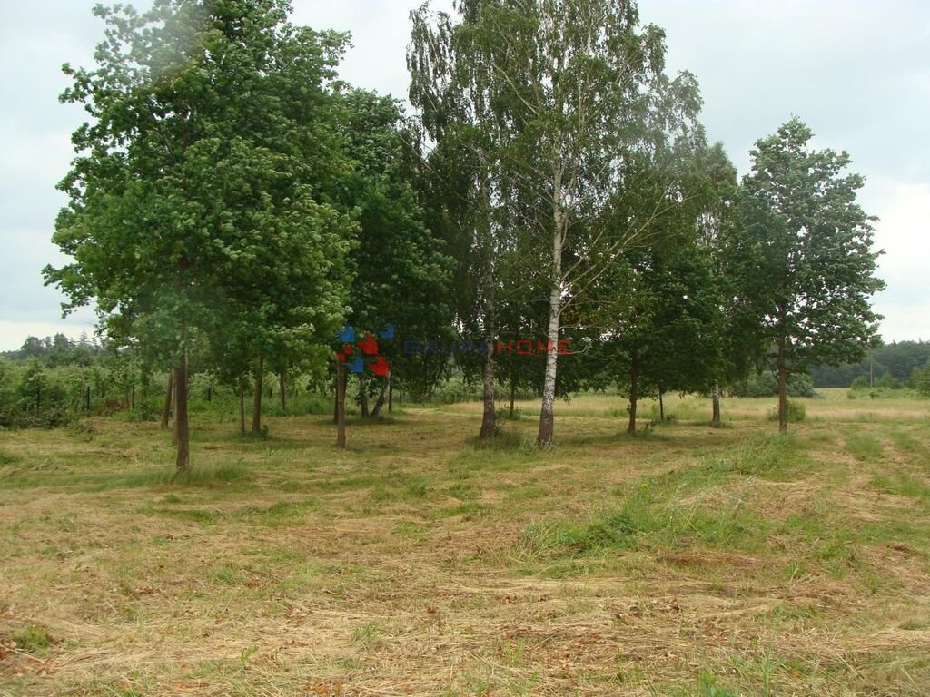 Działka budowlana na sprzedaż Piaseczno  20 000m2 Foto 1