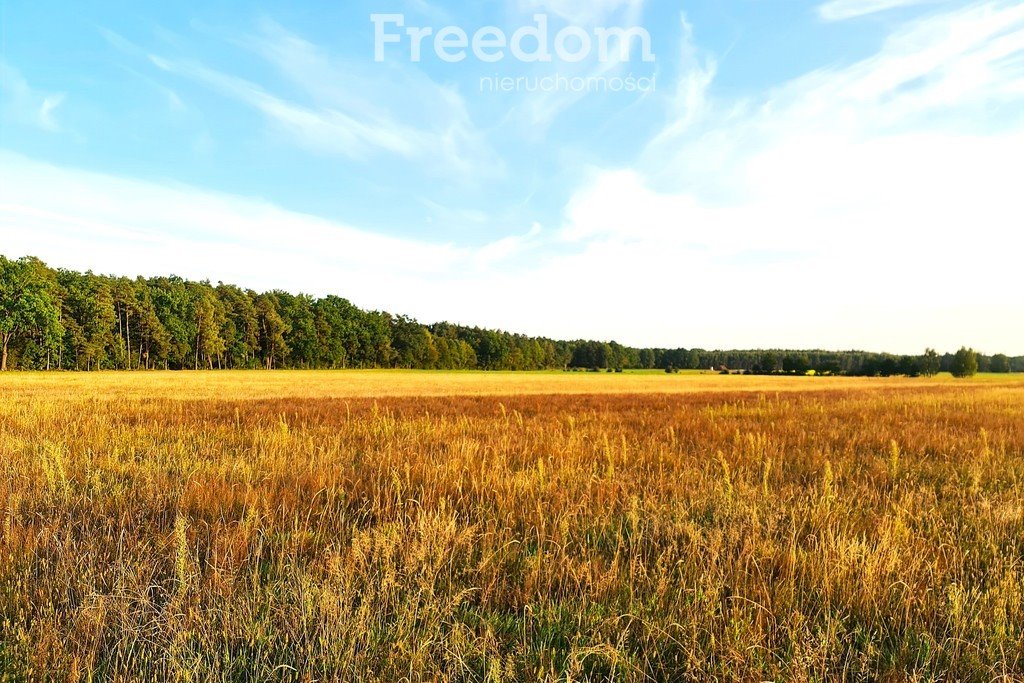 Działka siedliskowa na sprzedaż Zuzułka  3 001m2 Foto 3