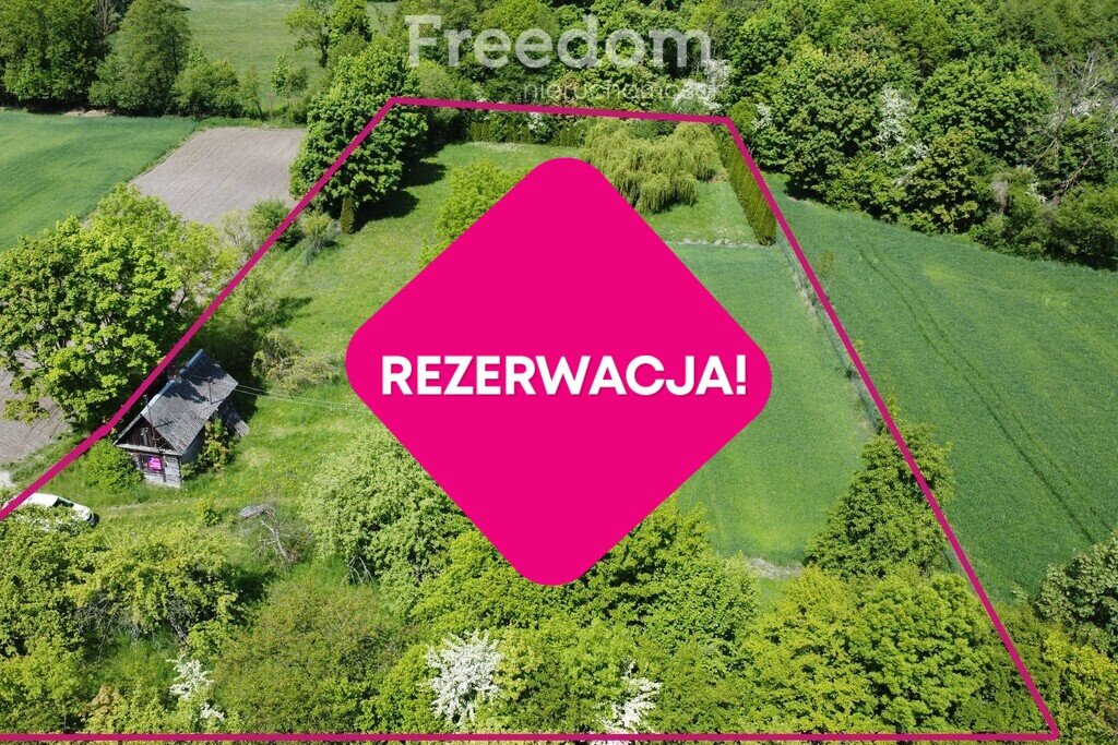 Działka budowlana na sprzedaż Podedwórze  5 000m2 Foto 1