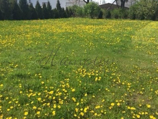 Działka siedliskowa na sprzedaż Koczargi Nowe  3 082m2 Foto 2