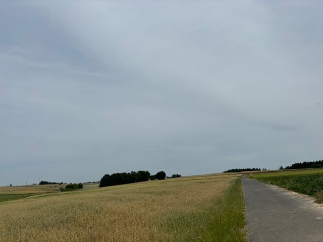 Działka inwestycyjna na sprzedaż Gryfów Śląski  5 400m2 Foto 9