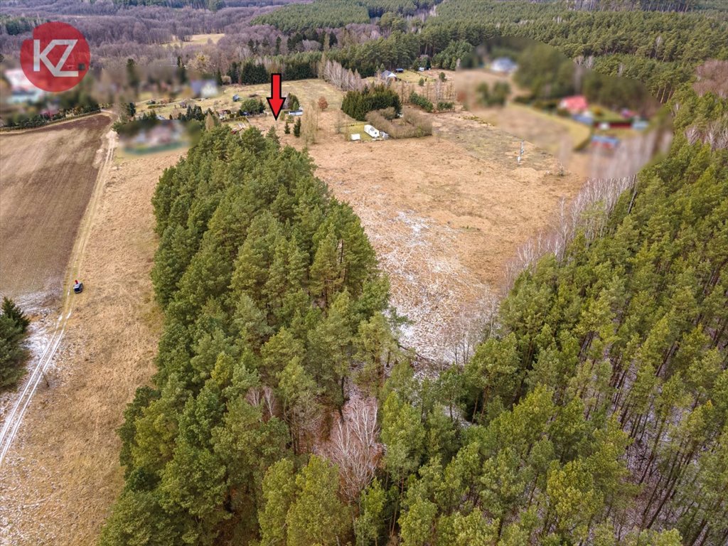 Działka rekreacyjna na sprzedaż Czapla  585m2 Foto 3
