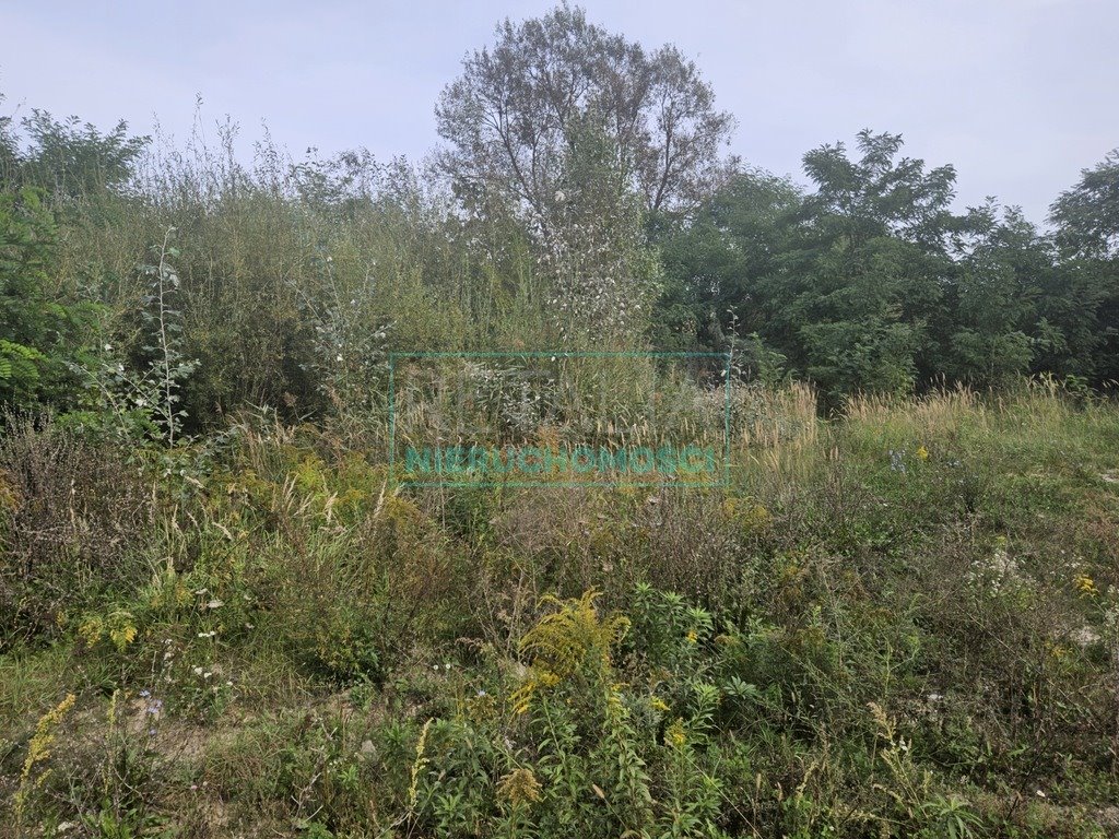 Działka budowlana na sprzedaż Grodzisk Mazowiecki  2 700m2 Foto 5