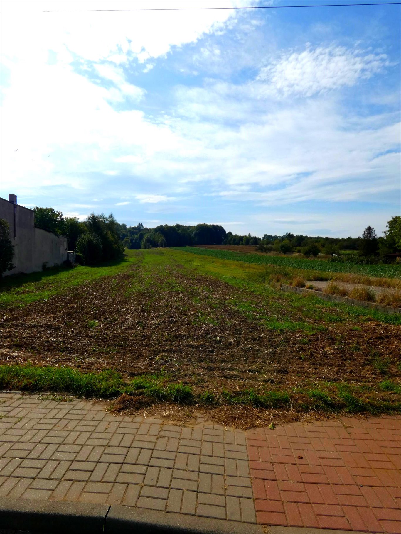 Działka budowlana na sprzedaż Tarnowskie Góry, Bobrowniki Śląskie, Krucza  4 642m2 Foto 5