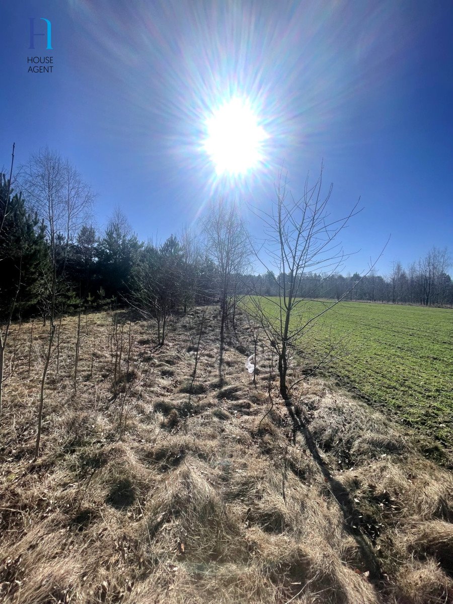 Działka rolna na sprzedaż Janów  6 000m2 Foto 9