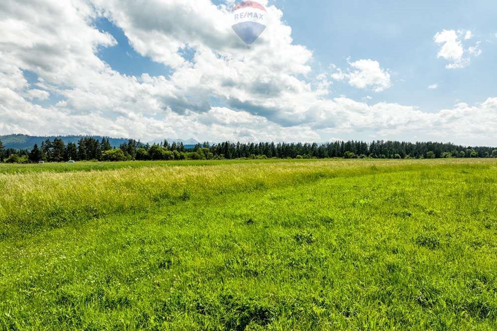 Działka budowlana na sprzedaż Dębno  2 560m2 Foto 12