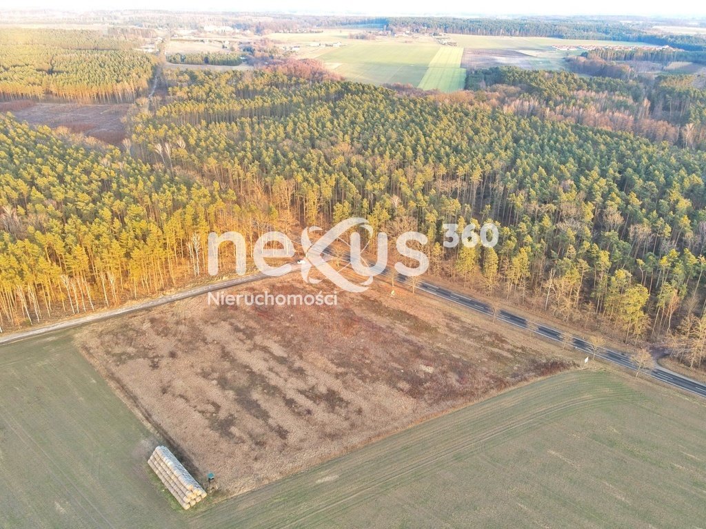 Działka komercyjna na sprzedaż Ostrowina  13 200m2 Foto 1