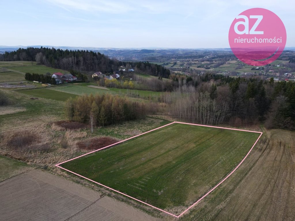 Sprzedam działkę 36 ar w Białej Niżnej - idealna pod zabudowę i rekreację Biała Niżna  3 600m2 Foto 1