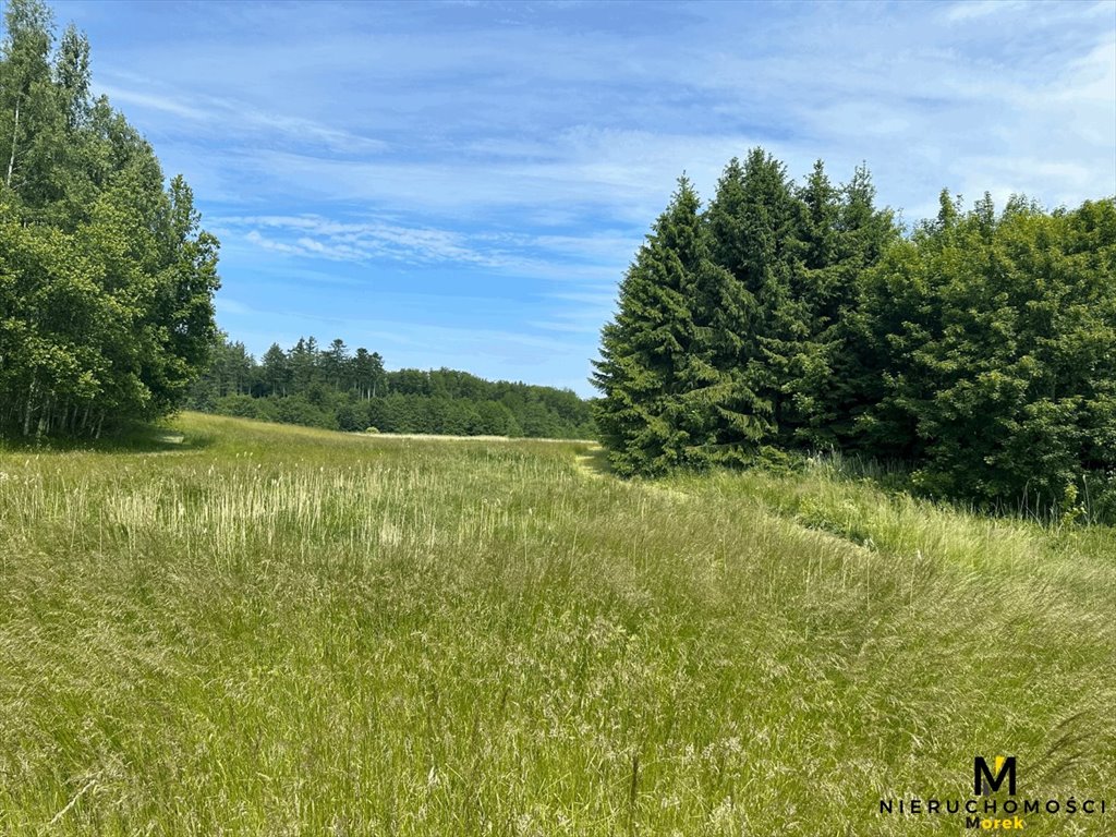 Działka leśna na sprzedaż Sianożęty, Kukinka  119 847m2 Foto 3