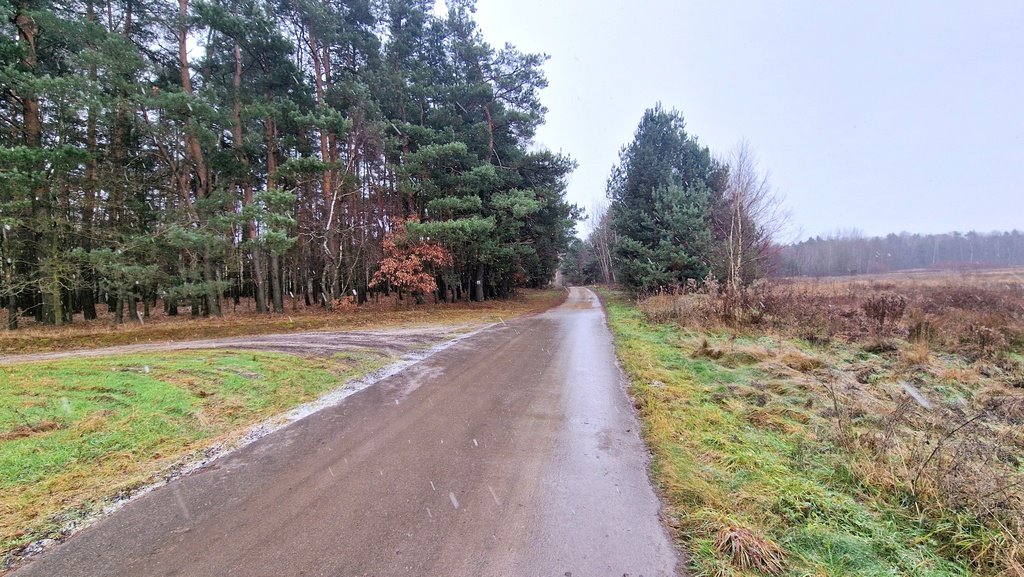 Działka budowlana na sprzedaż Smyków, Prosta  19 000m2 Foto 17