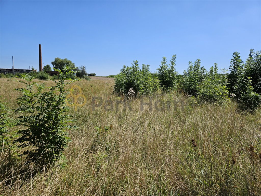 Na sprzedaż duża działka 5180 m² w Śmiglu z warunkami zabudowy Śmigiel  5 180m2 Foto 1