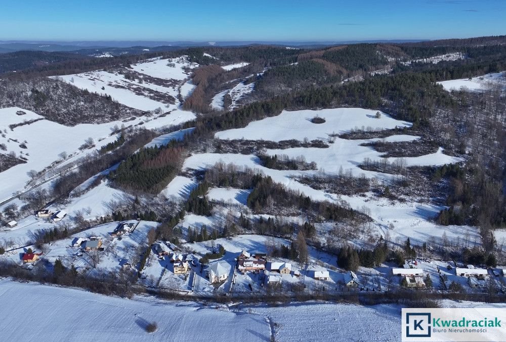 Działka inwestycyjna na sprzedaż Stężnica  102 500m2 Foto 7