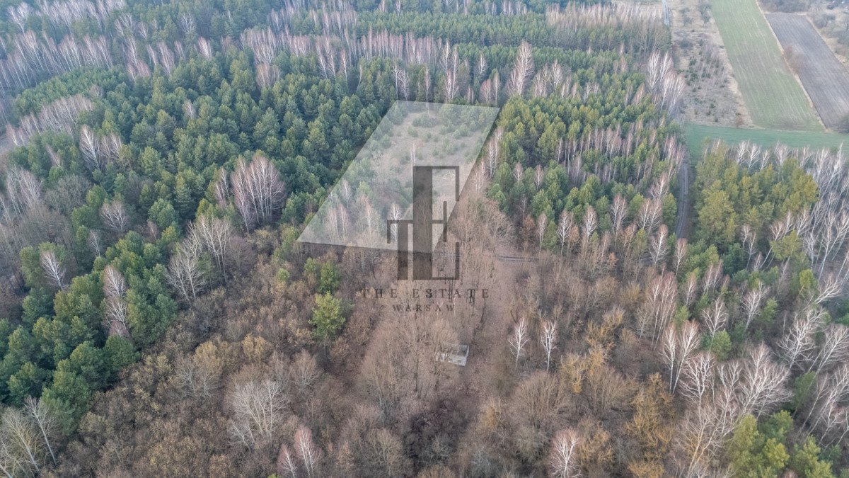 Działka 3000 m² w otulinie lasu, WZ, blisko Kozienic Henryków  3 000m2 Foto 1