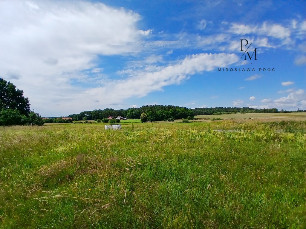 Działka budowlana na sprzedaż Baszyn  2 700m2 Foto 3