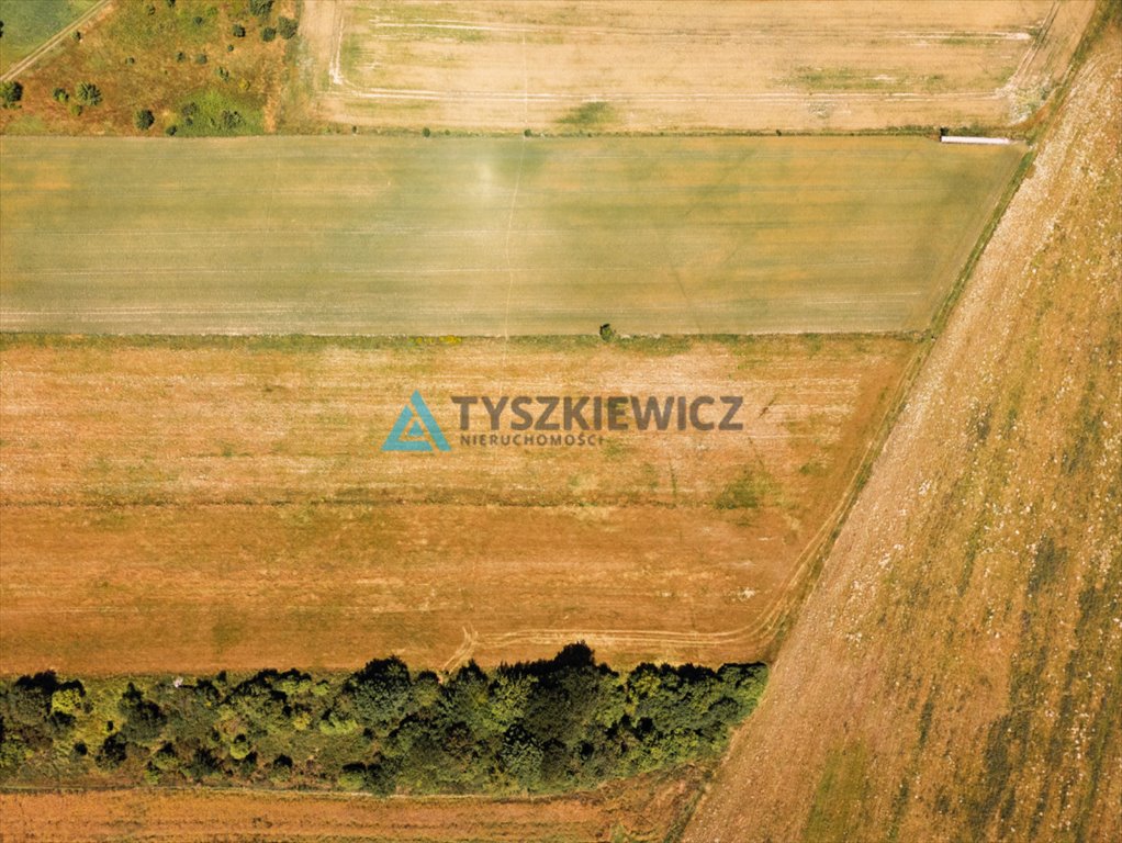 Działka inwestycyjna na sprzedaż Chłapowo, Władysławowska  4 387m2 Foto 11