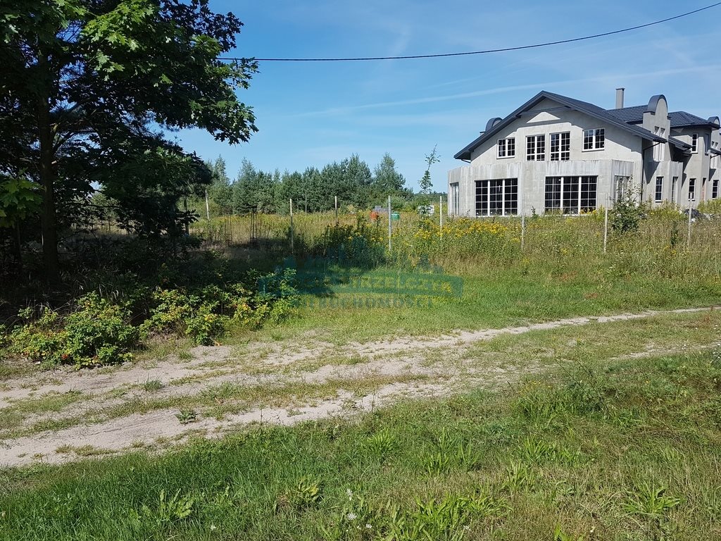 Działka budowlana na sprzedaż Sierzchów  10 000m2 Foto 1