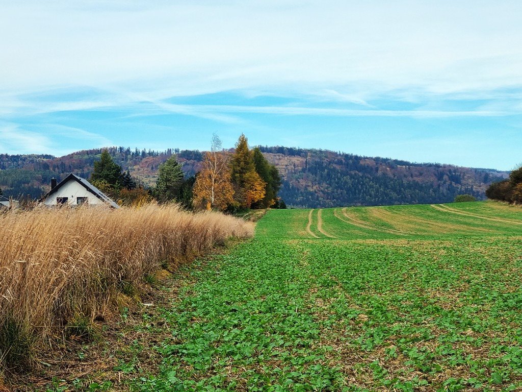 Działka inna na sprzedaż Bystrzyca Kłodzka  1 625m2 Foto 6