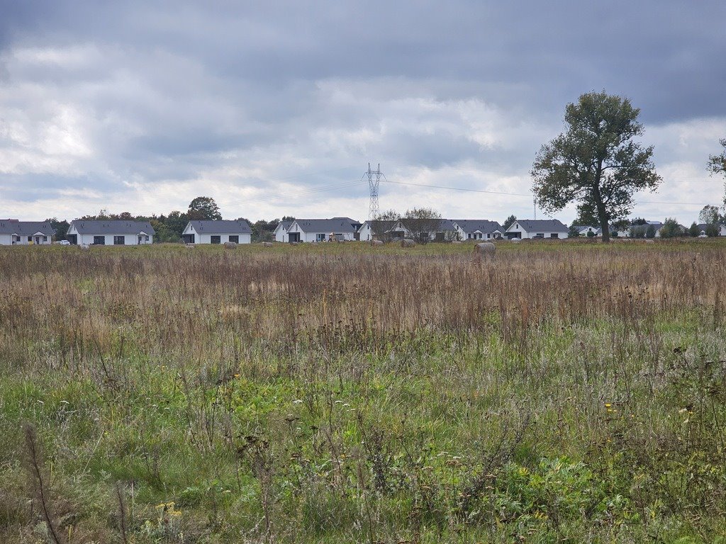 Działka budowlana na sprzedaż Osiedle Poznańskie  1 560m2 Foto 3