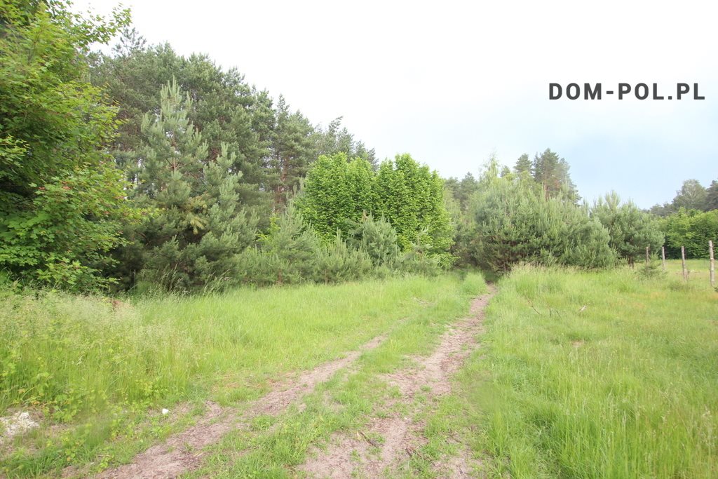 Działka 27 505 m² z lasem i zabudową w spokojnej okolicy Malinowszczyzna  27 505m2 Foto 1