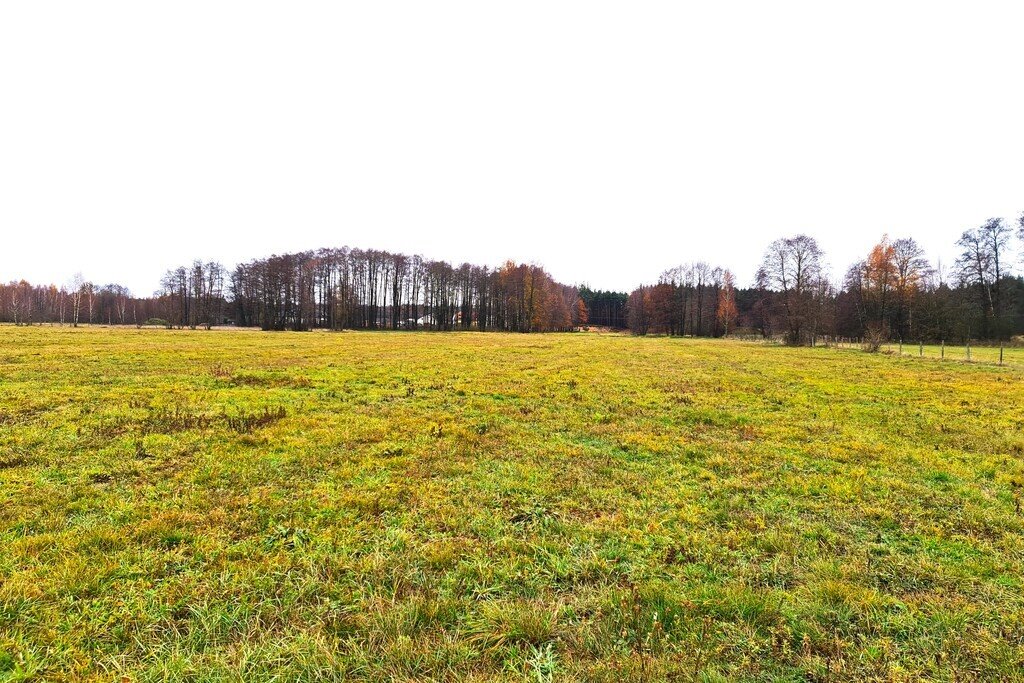 Działka siedliskowa na sprzedaż Brzuza  9 400m2 Foto 1