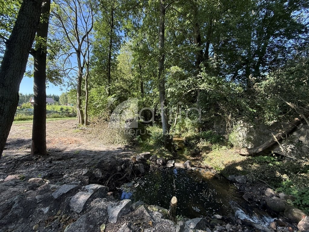 Działka 29 200 m² z rzeką i ruinami młyna (Stawno) Stawno  29 200m2 Foto 1