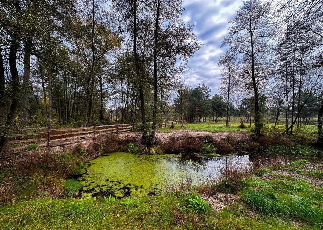 Działka budowlana na sprzedaż Niwy Ostrołęckie  2 385m2 Foto 8