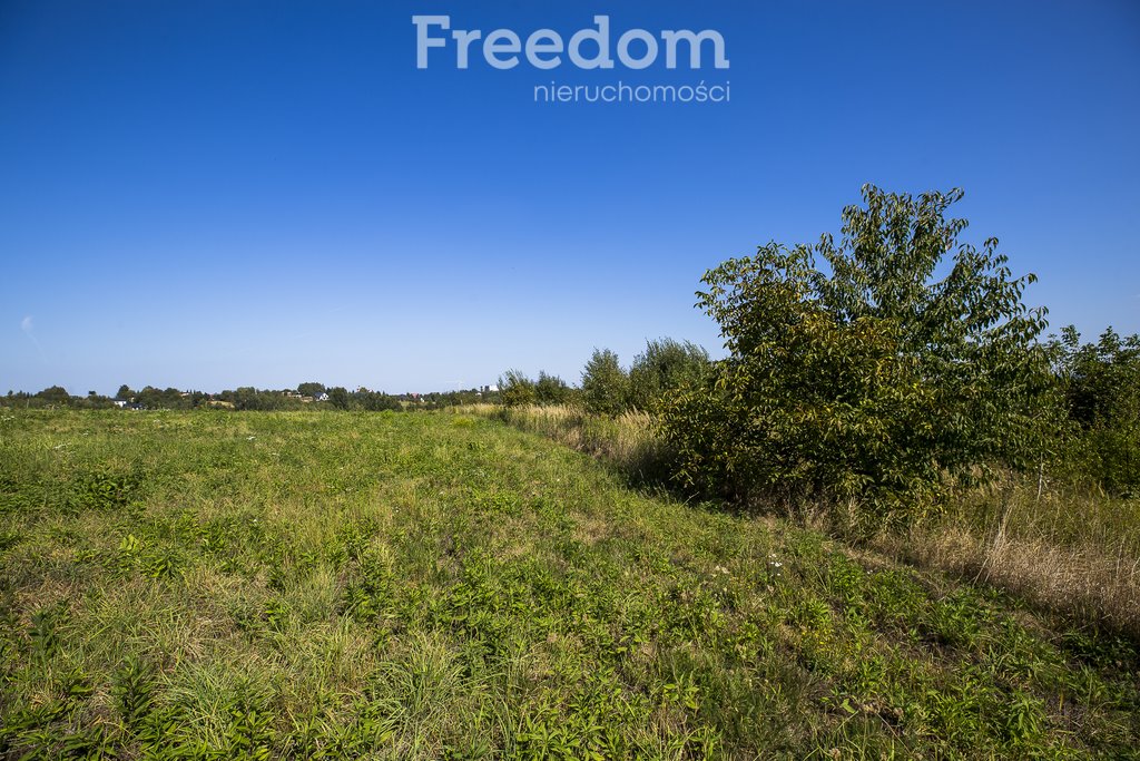 Działka budowlana na sprzedaż Kielanówka  5 500m2 Foto 4