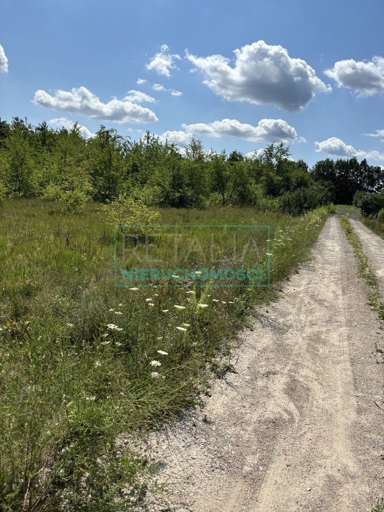 Działka budowlana na sprzedaż Jaktorów-Kolonia  2 121m2 Foto 4