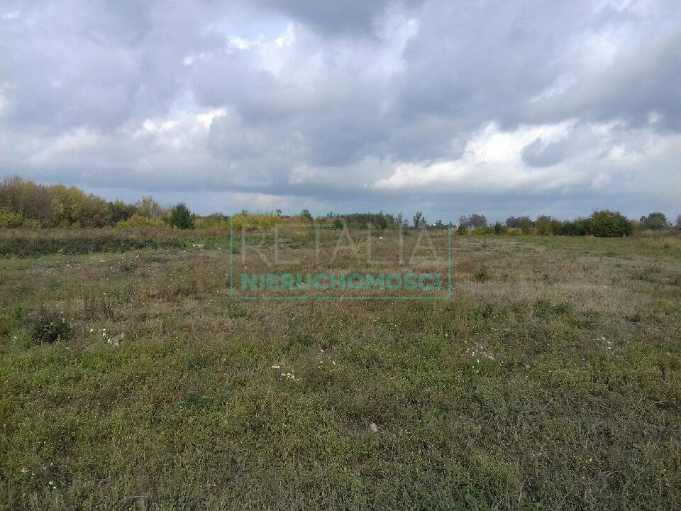 Działka 25 000 m² przy głównej drodze, zielona okolica Domaniew  25 000m2 Foto 1